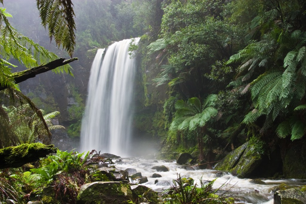 How Nature Can Improve Mental&nbsp;Health
